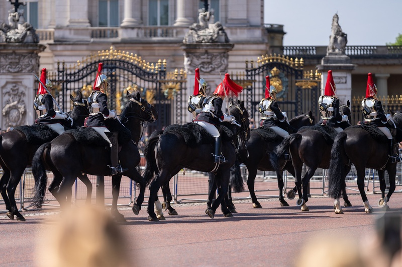 buckingham palace9